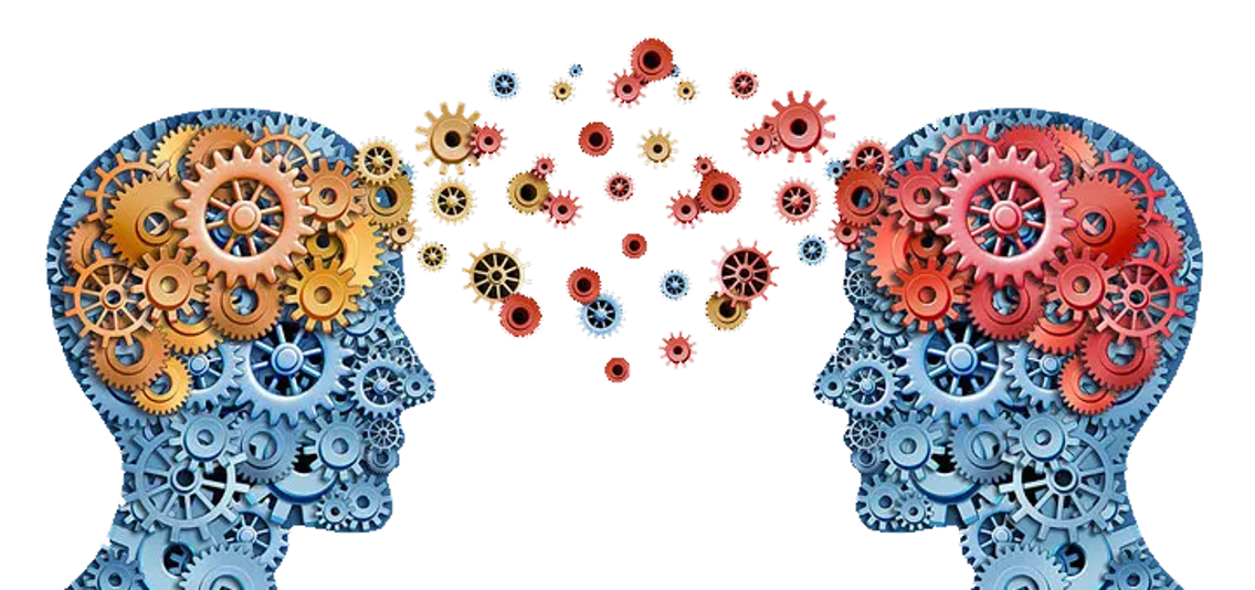 Neurones miroirs.png